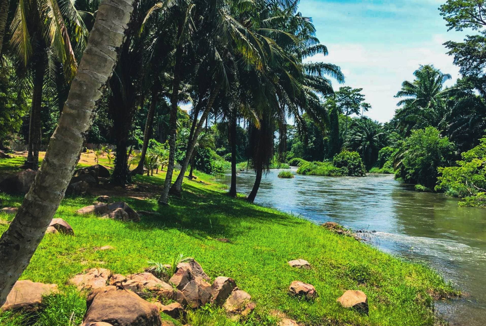 Balade en pirogue sur le Bandama