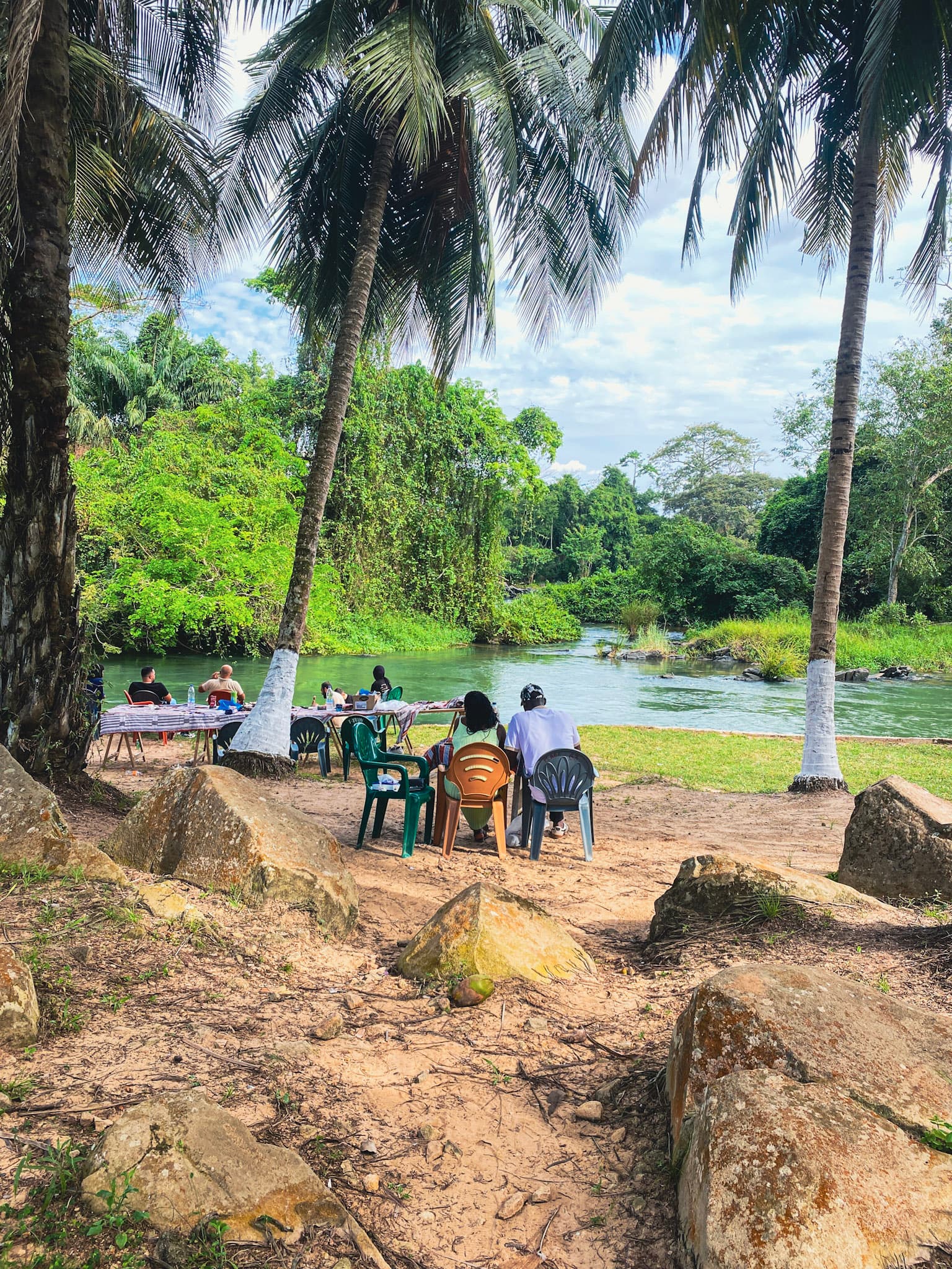 Déjeuner sous les cocotiers